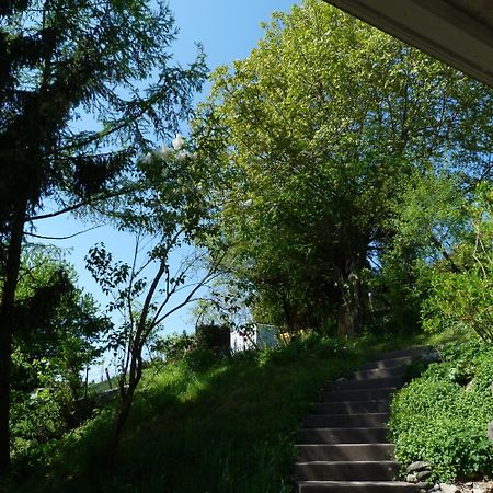 Bnb Goldberg Schmerikon Exterior photo